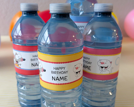 Toopy and Binoo birthday party invite